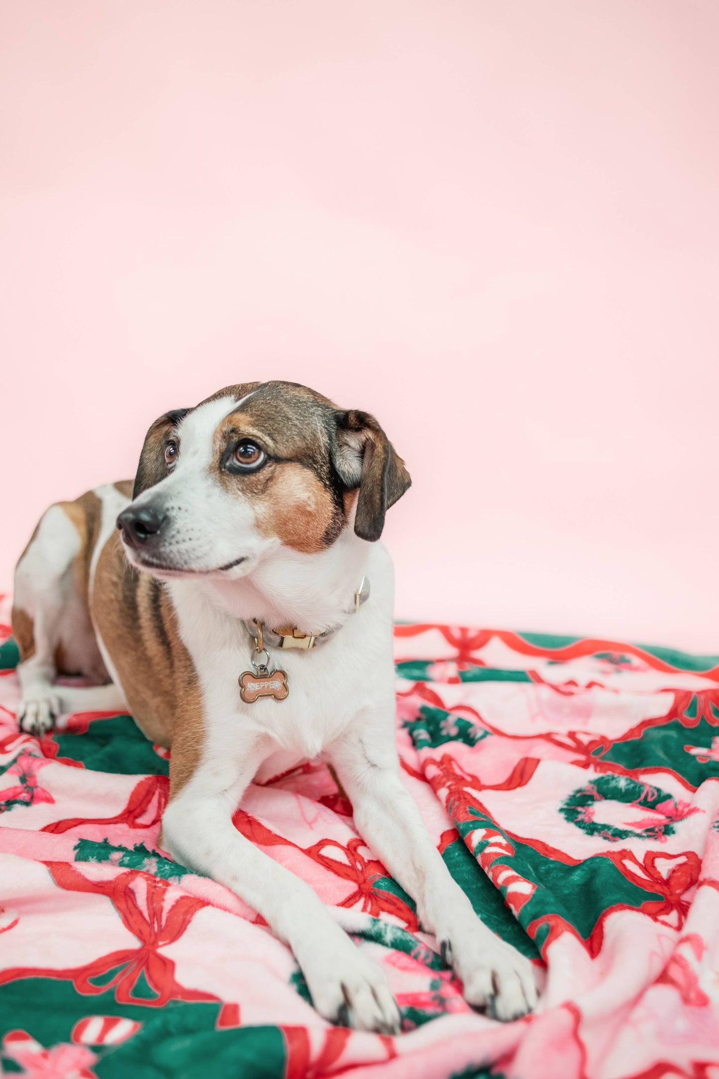 Santa's Candy Cane Cottage Fleece Blanket